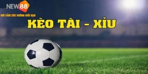 kèo tài xỉu new88