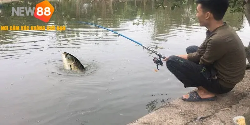 Mơ Thấy Câu Cá đánh con lô đề nào dễ trúng