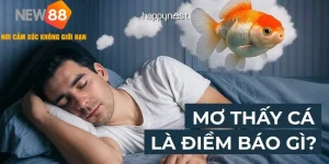 Mơ Thấy Câu Cá - Đánh Lô Đề Gì Dễ Trúng Thưởng